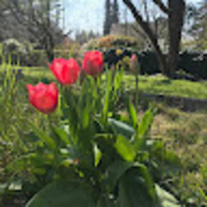 Meet your Posher, Alejandra